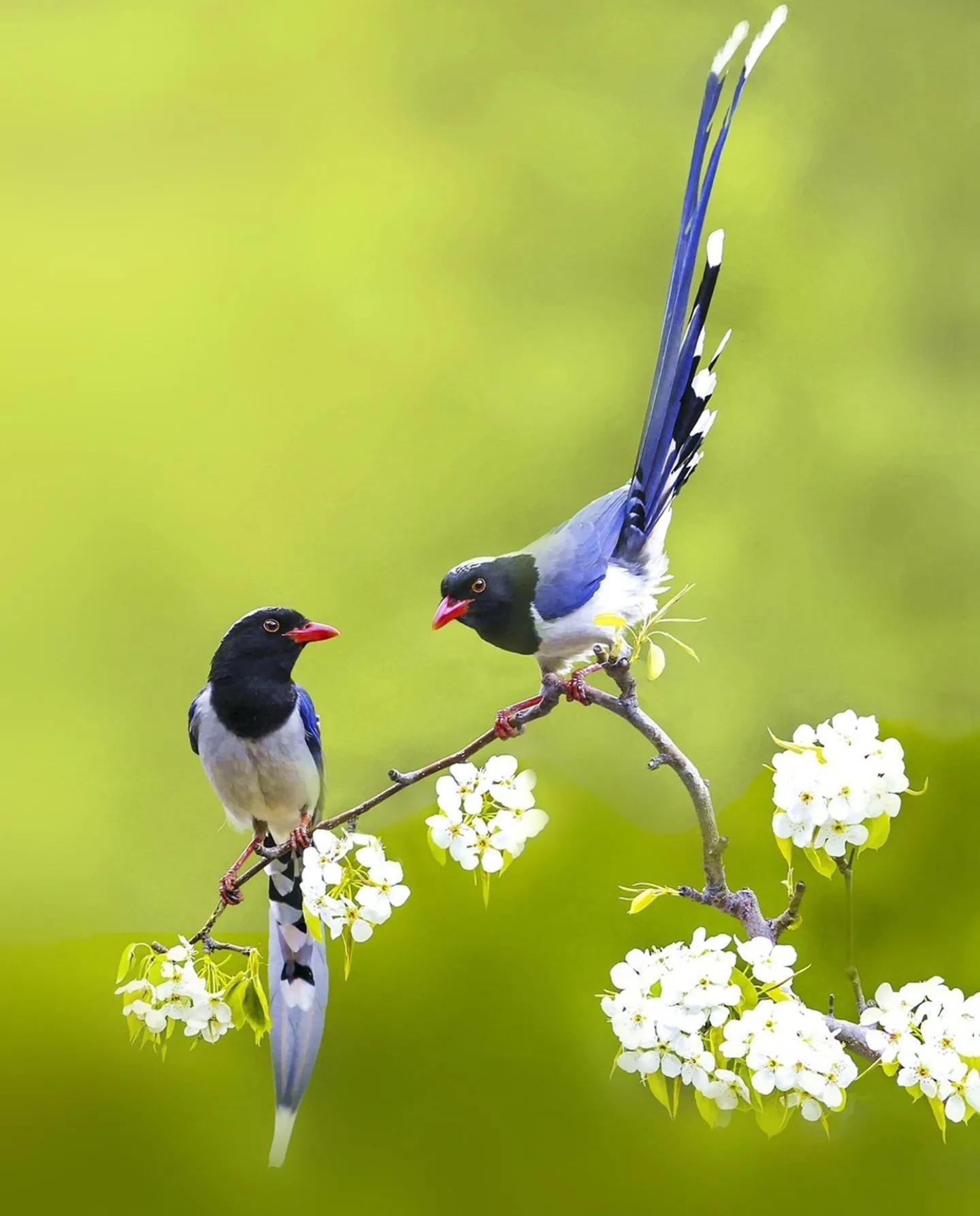 俄乌战事对钾肥的影响,俄乌1号最新战事消息