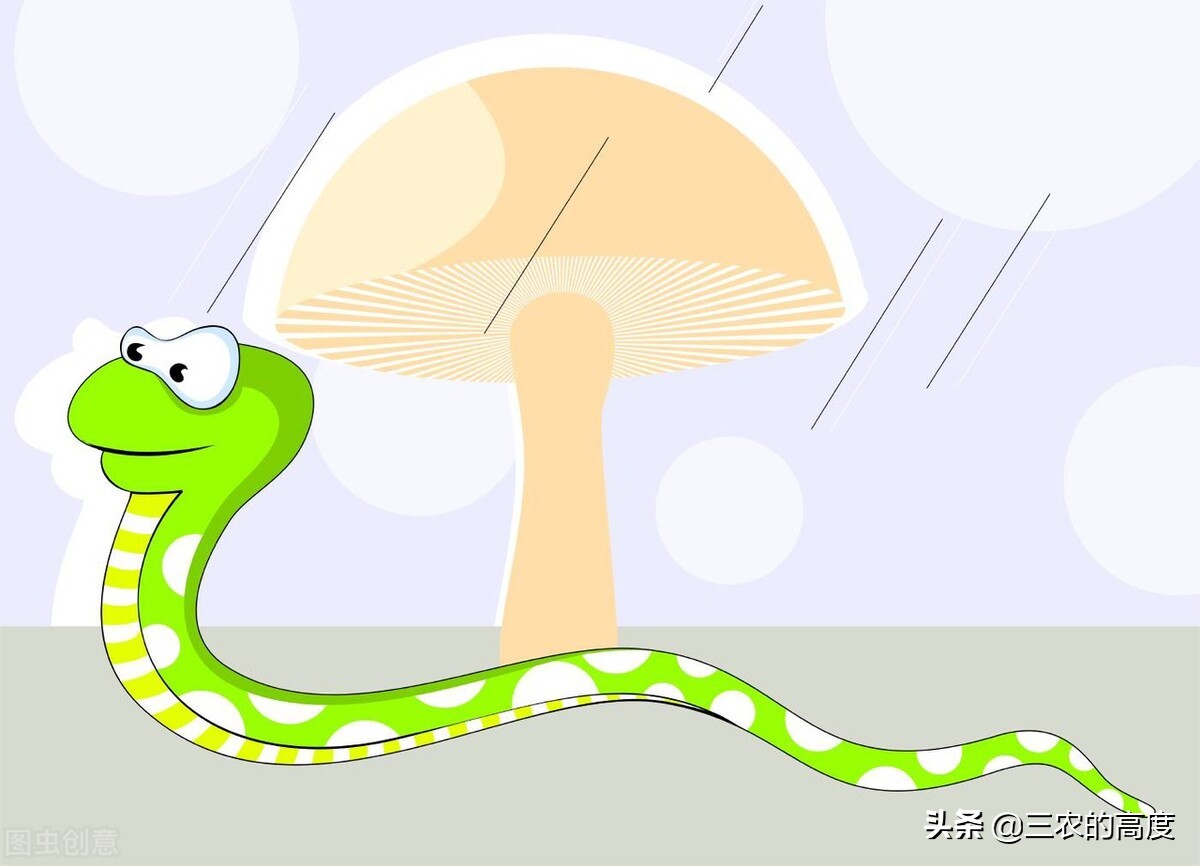 所有蛇不一定是毒蛇需要远离吗,蛇类中最为胆小的蛇