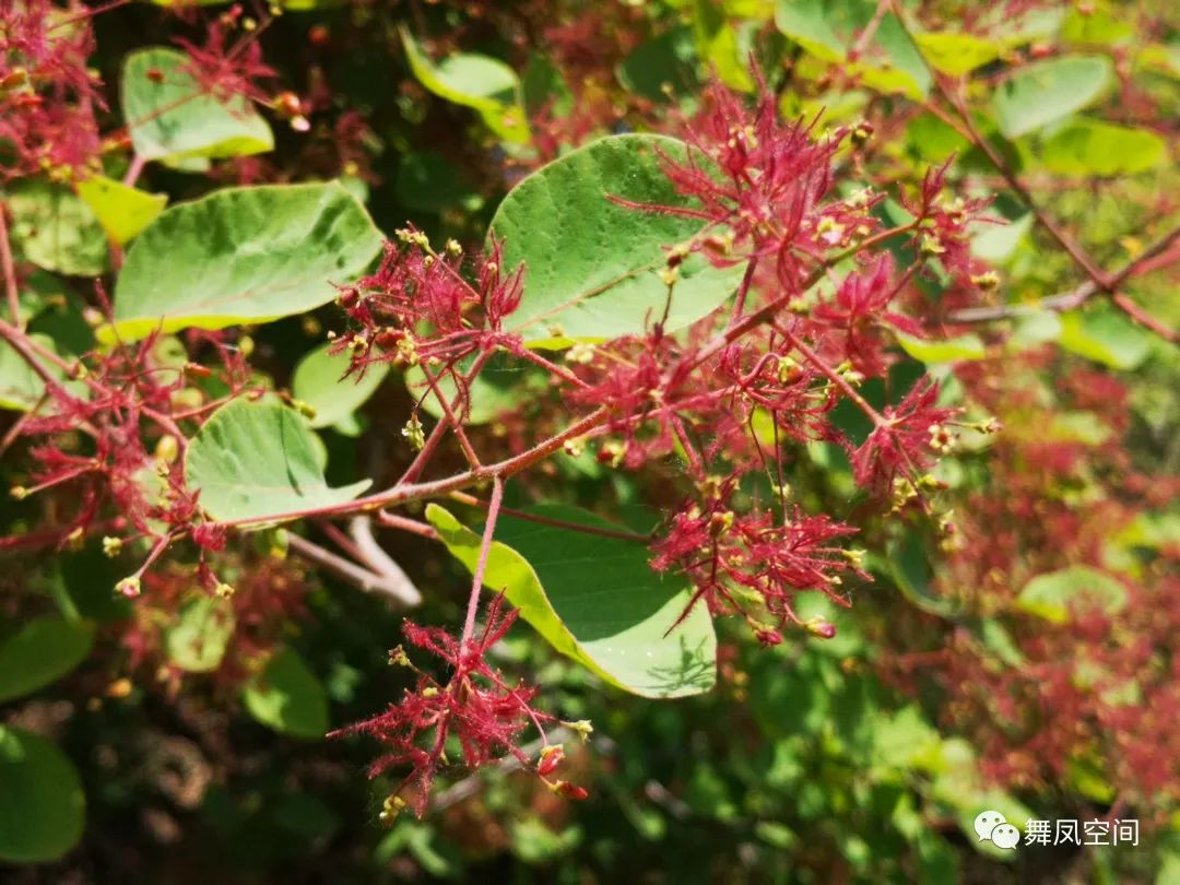 西山国家森林公园海拔,西山国家森林公园昆明