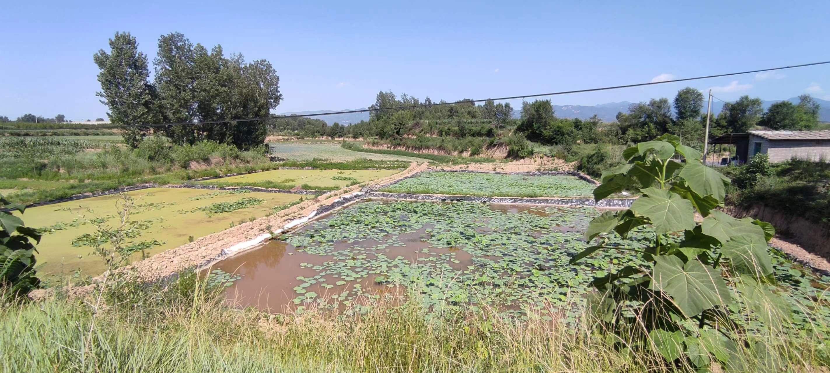 古中国考出彭蠡泽｜张笔魁