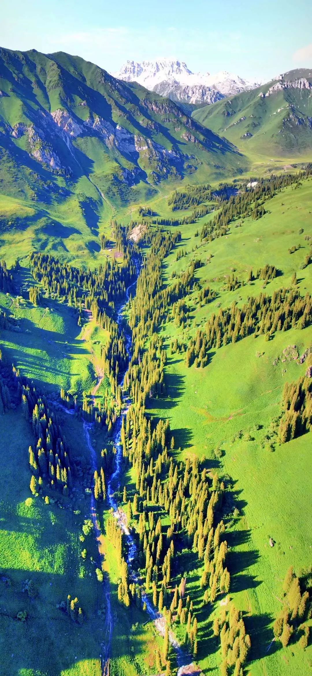 国内自驾最美10条景观大道,中国最美景观大道自驾