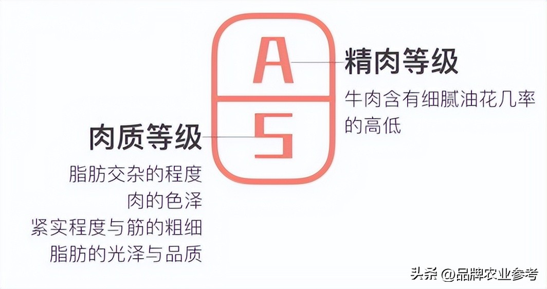 日本和牛和国内卖的和牛有啥区别,日本顶级和牛了解一下