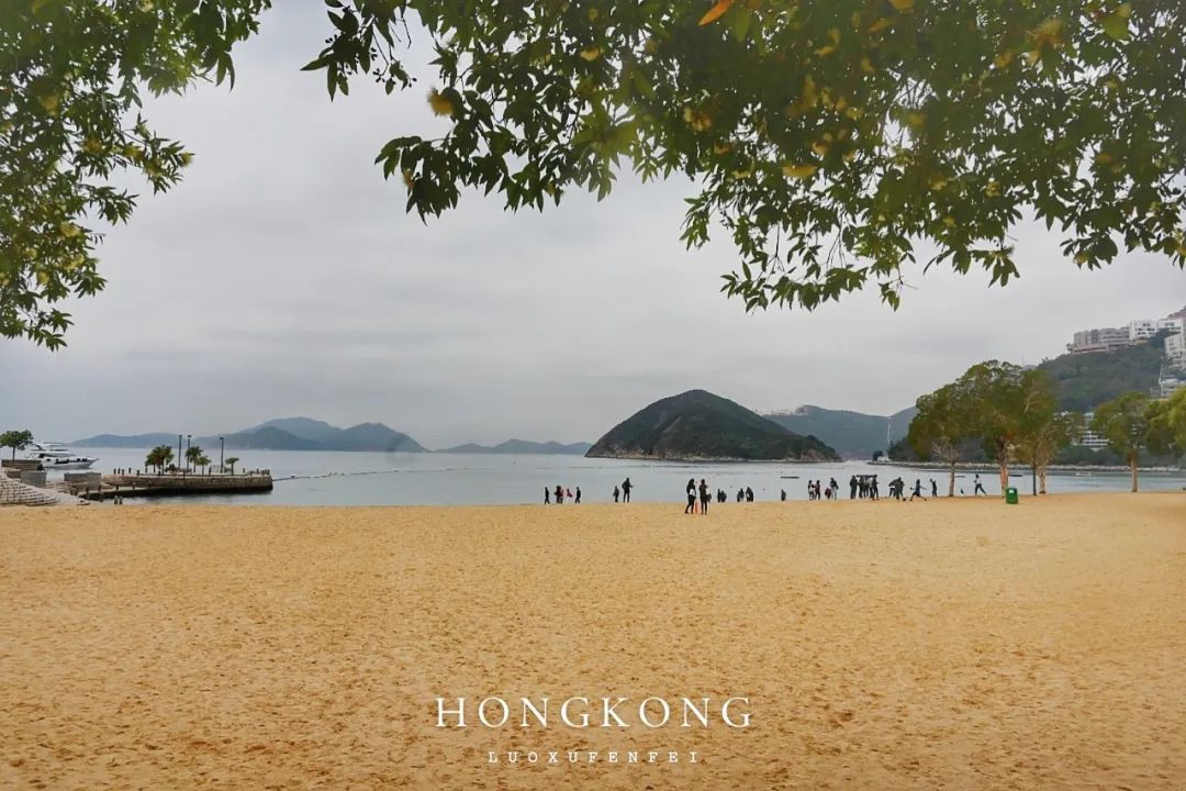 去香港旅游跟团需要签证吗,香港跟团旅游避坑攻略