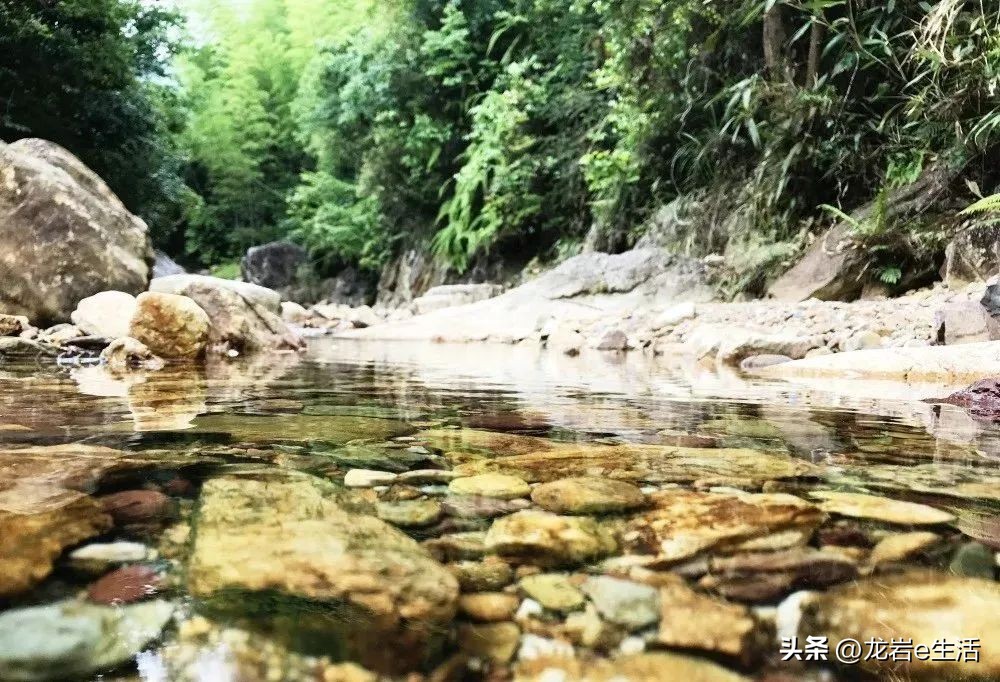 夏天龙岩哪里凉快适合避暑,龙岩新罗区有哪些避暑的好地方