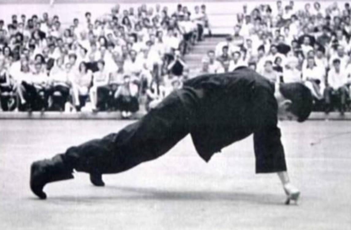 李小龙和罗礼士是真打吗,李小龙真的打过空手道吗