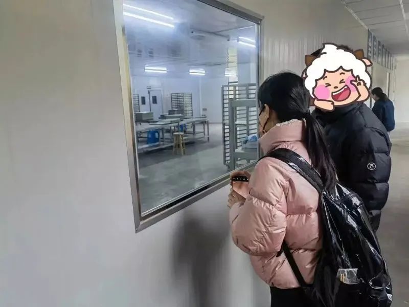 蔬菜蛋挞宝宝辅食,夹心蛋挞宝宝辅食