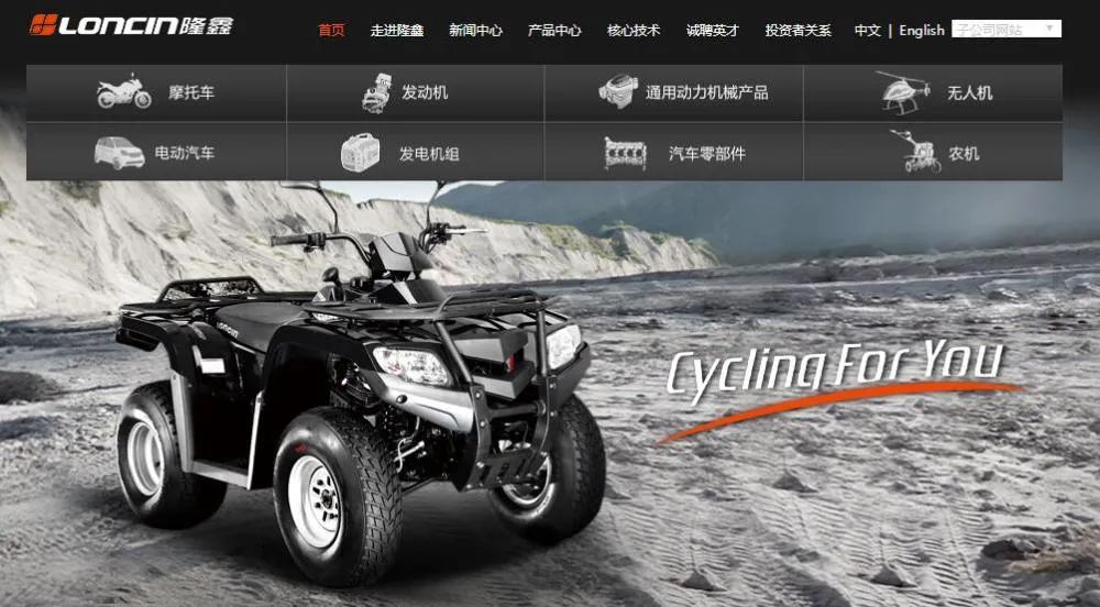 中国500强企业亏损前十名,中国民营企业500强榜单隆鑫