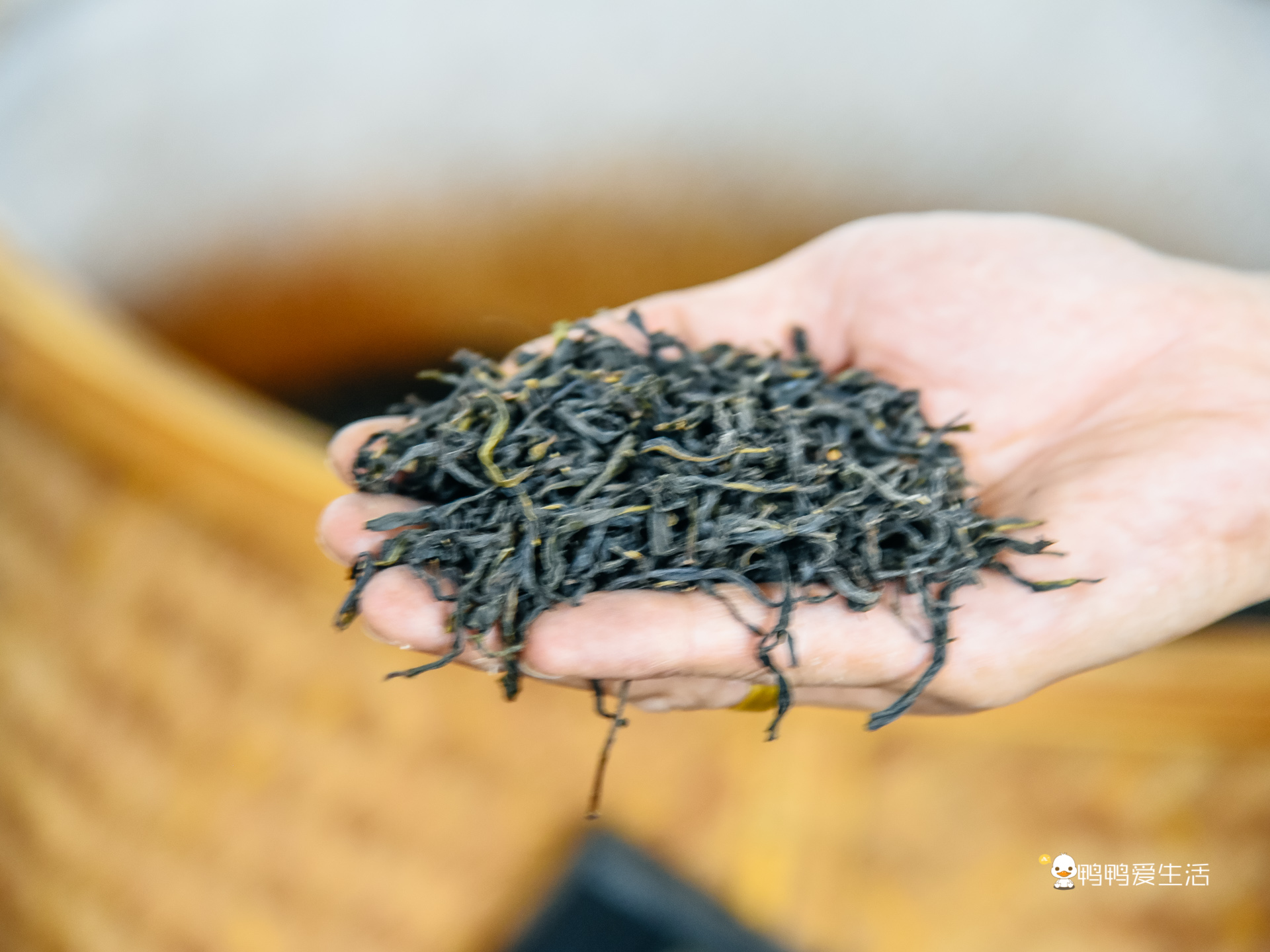 潮州人有多爱喝茶,清香型潮州特色茶