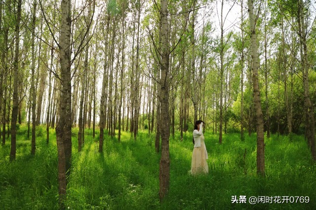 南方适合养老还是北方适合养老,养老南方好还是北方好