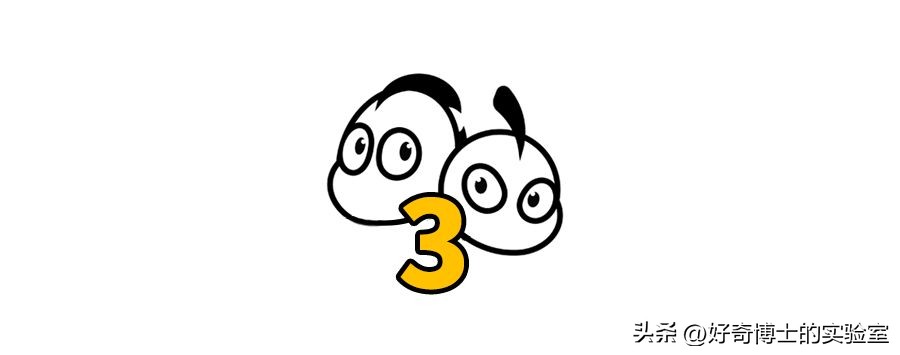 女生的胸，为什么忽软忽硬？（男生禁入）