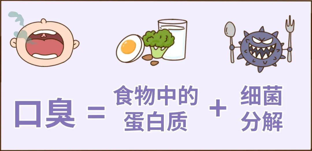 电动牙刷测评飞利浦和欧乐,电动牙刷怎么选评测