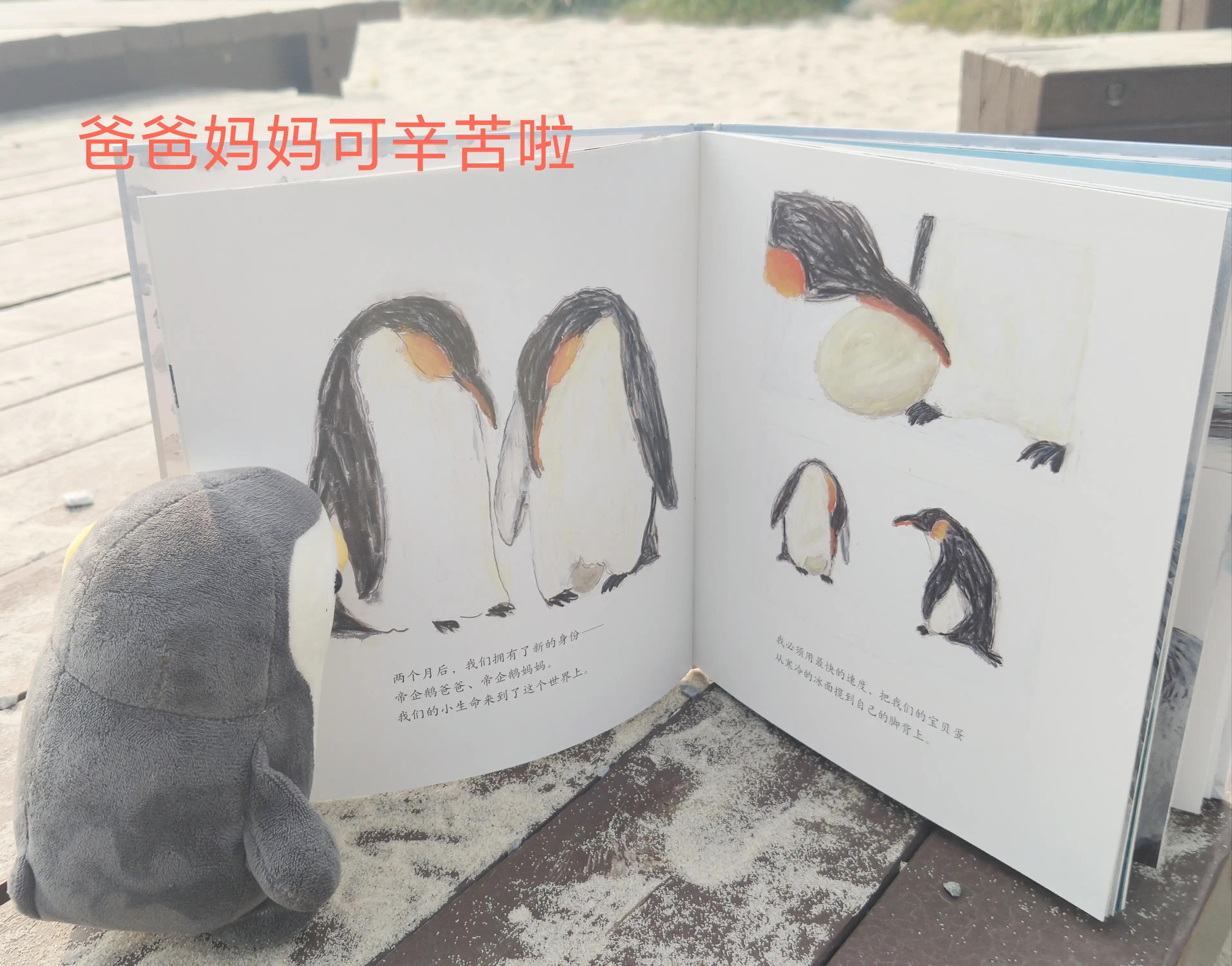 帝企鹅歌曲原唱,帝企鹅谈恋爱