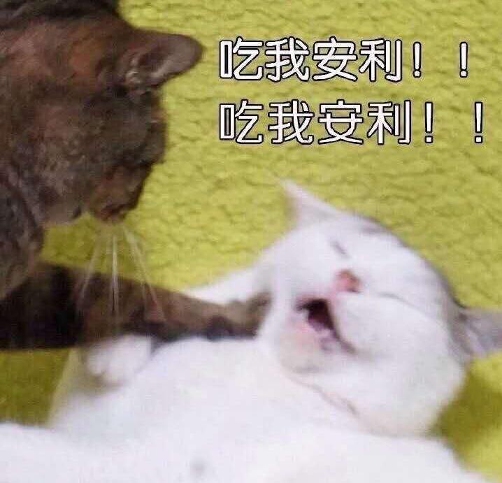 鐨囧鐚伯鑳戒笉鑳戒拱,涓嶆兂涔板搧鐗岀殑鐚伯