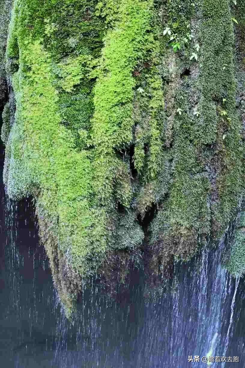 58天川云贵湖自驾游第27站:宜昌三峡人家(本次旅行最后一站)