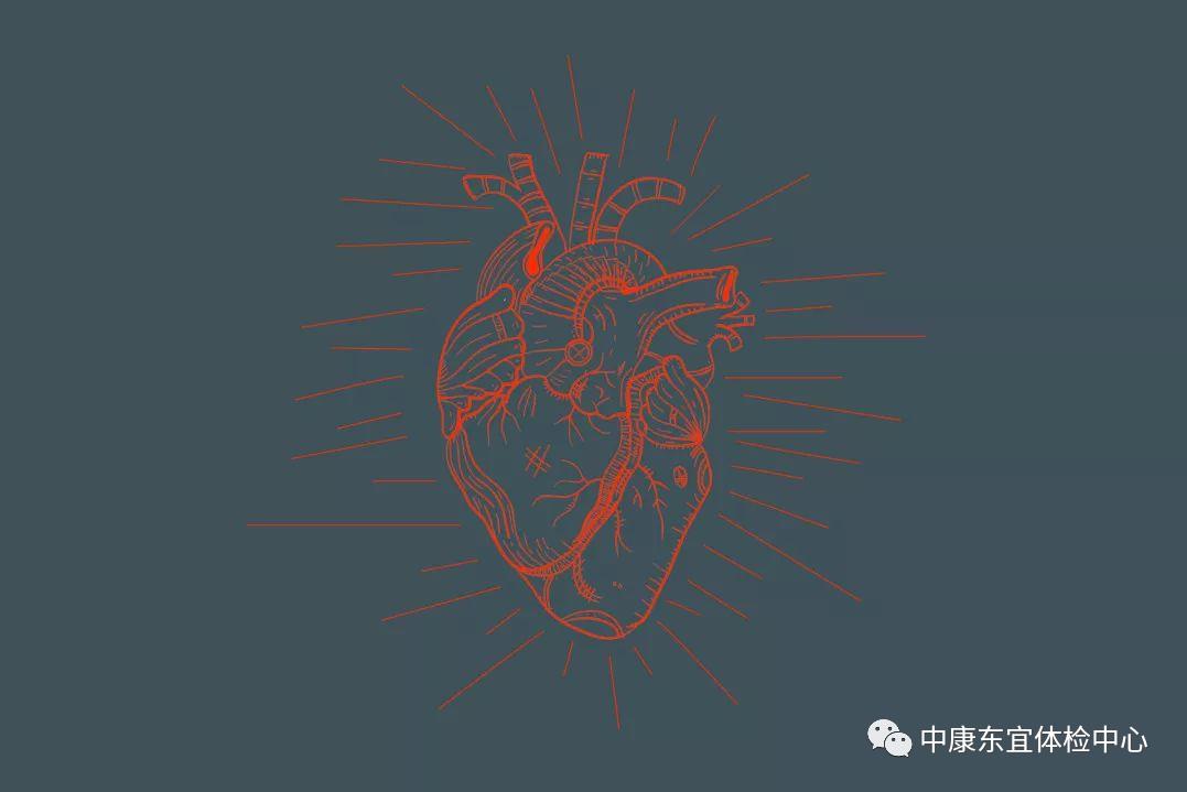 心脏早搏吃半片倍他乐克的危害,心脏早搏算是严重心脏病吗