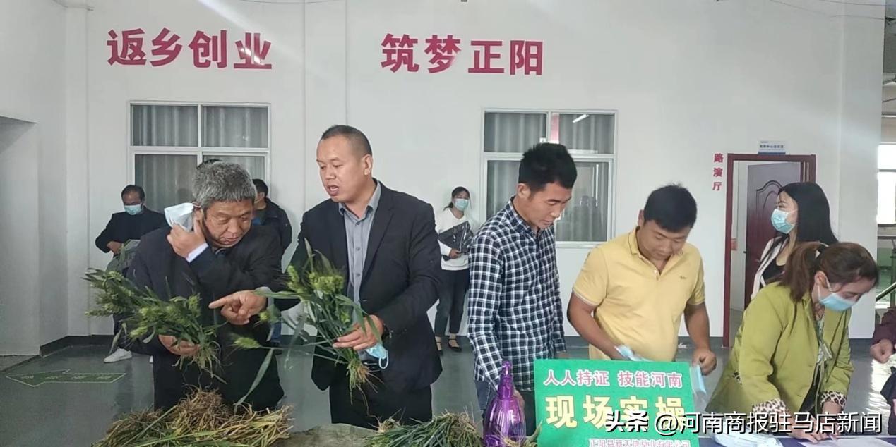 河南正阳县乡村振兴,乡村振兴致富路推荐项目