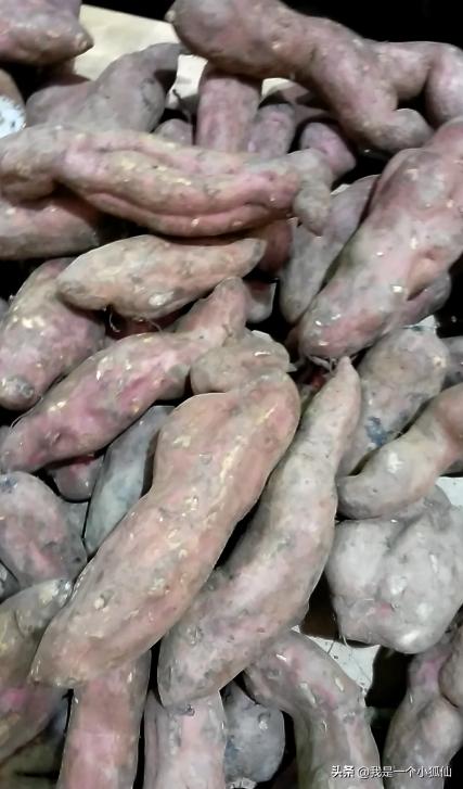 我在安哥拉完整版,我在安哥拉