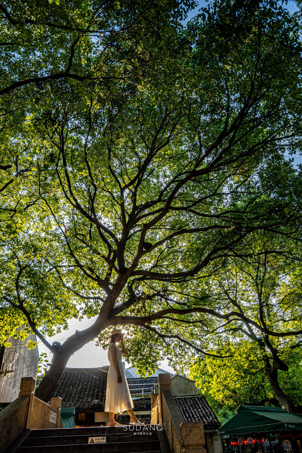 同里古镇为什么叫东方威尼斯,苏州水乡古镇同里