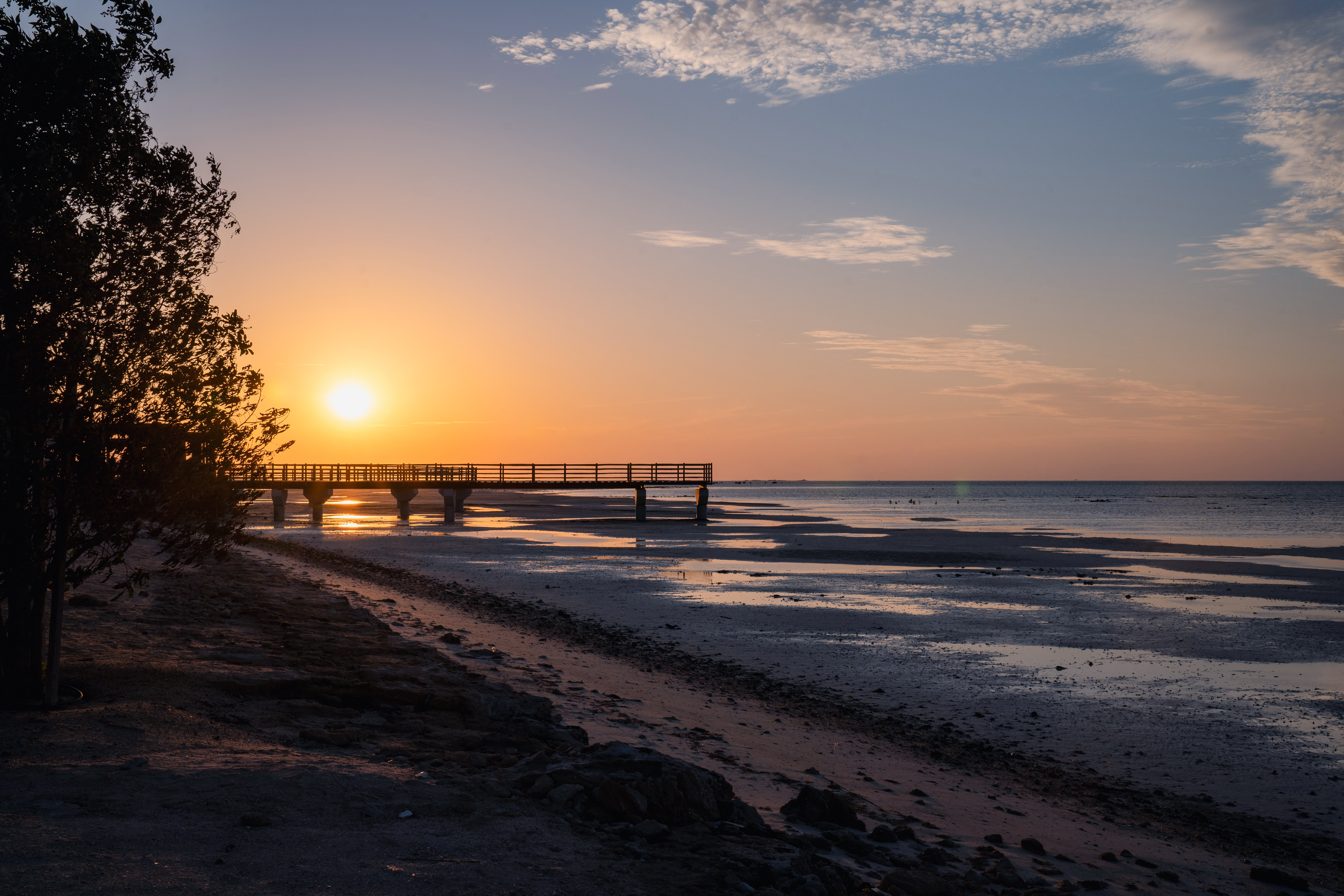 德国卡塔尔世界杯之旅,德国对卡塔尔世界杯
