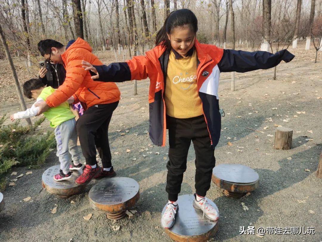 在森林公园里玩耍,中国可以骑行的森林公园