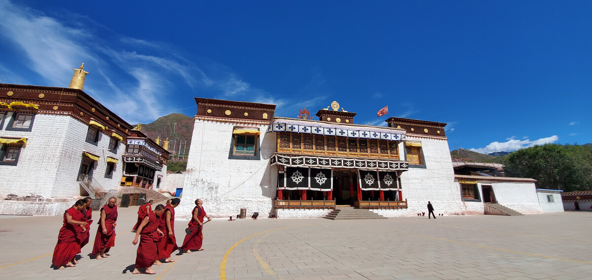 小伙雪夜救人获赠一颗“小泥丸”，遗忘杂物间，38年后被估值两亿