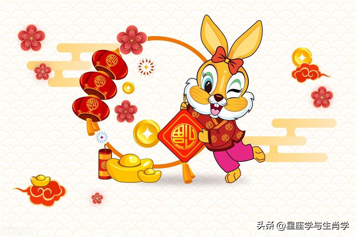 生肖兔不同年份属兔人2023年运势,生肖兔在2023兔年如何转变运势