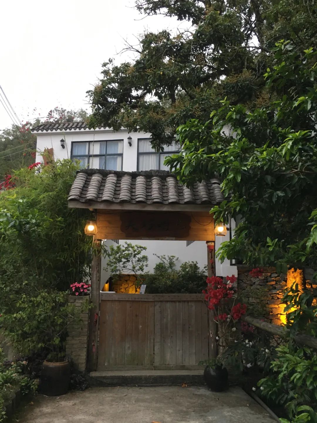 旭光车行雅迪电动车,旭光单车