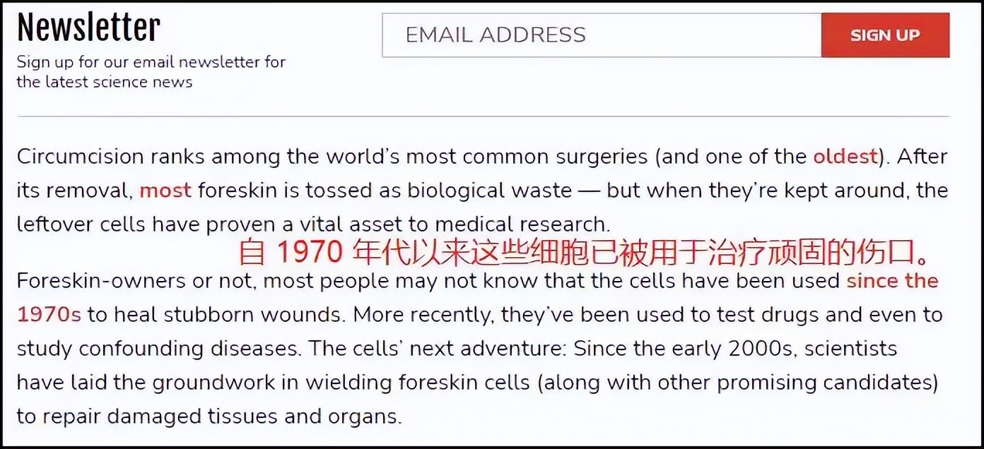 被割下的包皮,被割的包皮