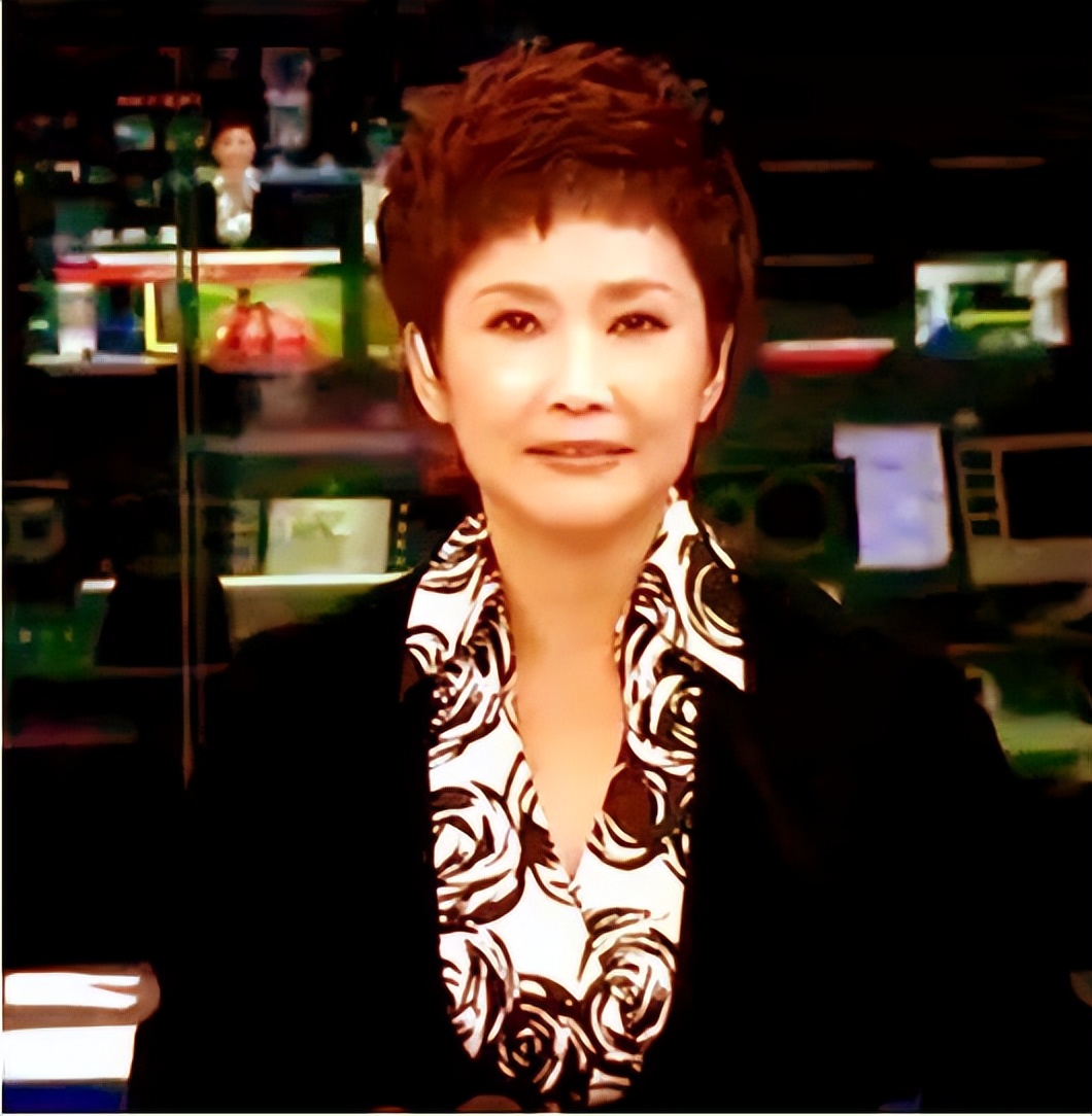 央视女主持人宁辛,主持人宁辛及丈夫近况