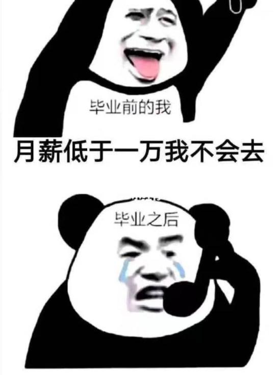 自学单片机需要学哪些,自学单片机学51还是stm32