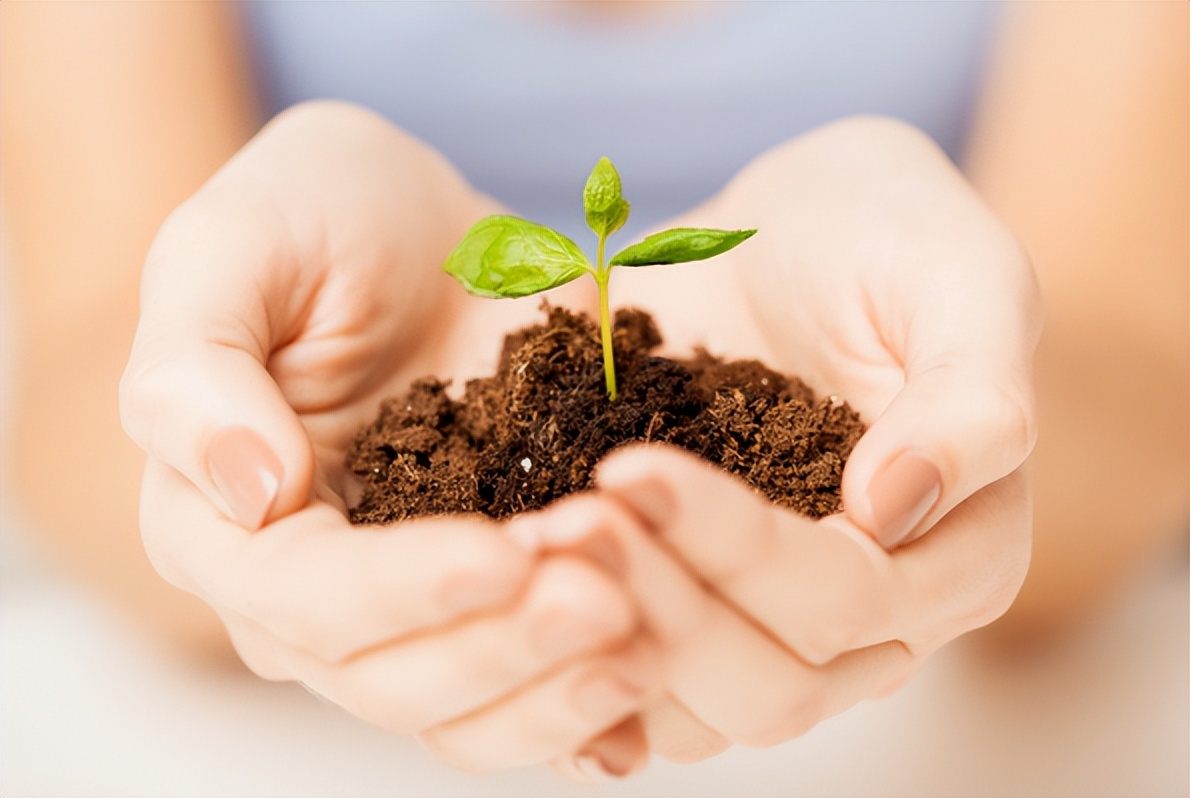 中鼎检测实验室,中鼎检测查询