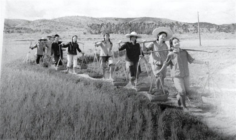 双桥流氓案件,双桥老流氓杀人案纪实