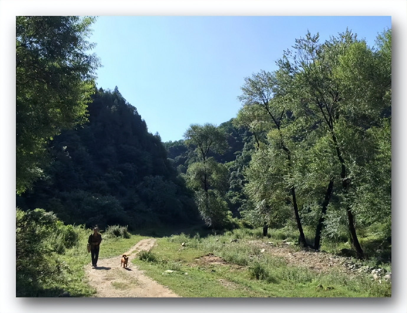 枫丹白露中国,探访中国最北漠河