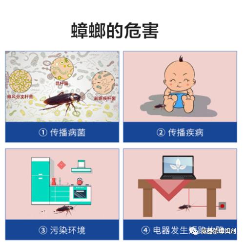 家里有蟑螂怎样能彻底消灭最有效,家里有蟑螂怎么消灭最有效方法