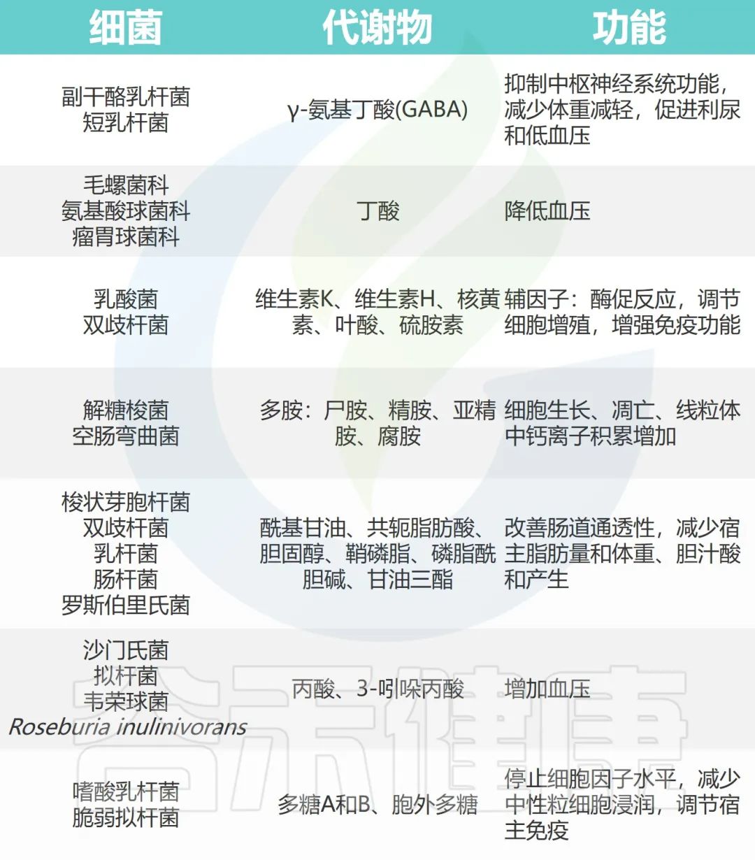 人体微生物分布,人体微生物菌群