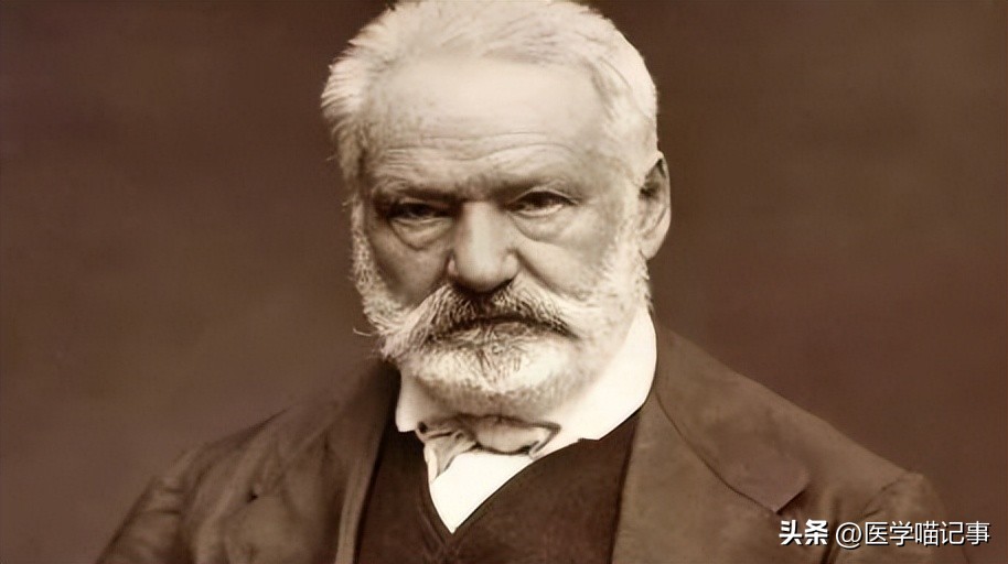 雨果诗歌和小说创作,雨果诗歌和小说创作的成就