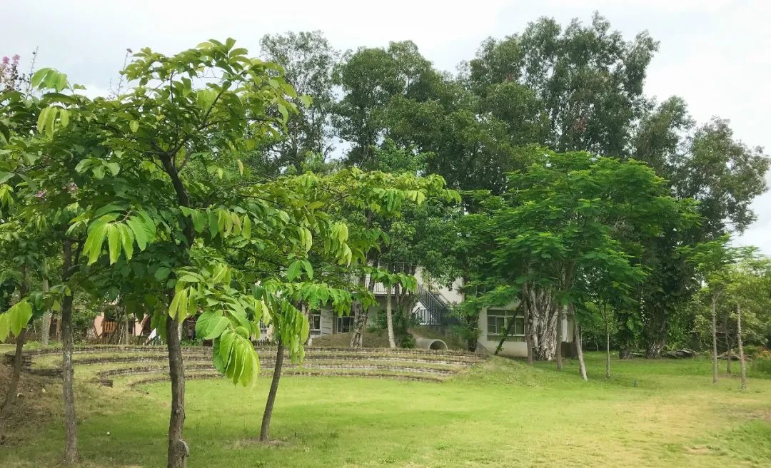 一个有大片绿地、果树、鱼塘、菜地，还有小鸡和鸭子的小岛幼儿园