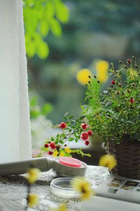 法恩莎花洒套装推荐排行榜前十名,法恩莎花洒哪款好用