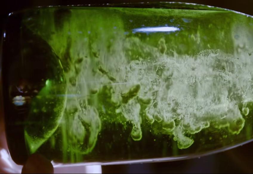 酒美中国·精灵的馈赠