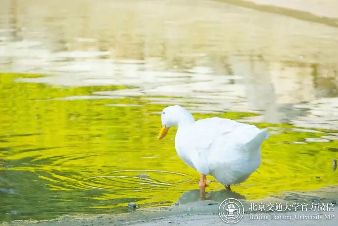交大很拼暑期在校最全指南来了,上海交大医学院暑假安排