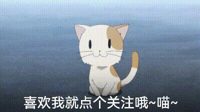 哪些狗掉毛少聪明还好养,狗类掉毛排行榜