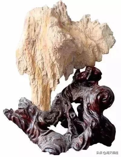 难得一见的仙鹤假奇石,这些难得一见的奇石美醉了