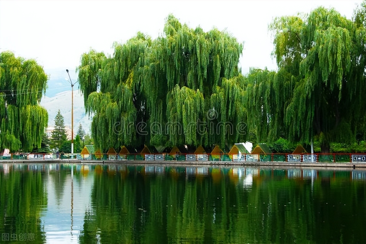 唐诗中有禅意的诗句,禅意七绝108首诗