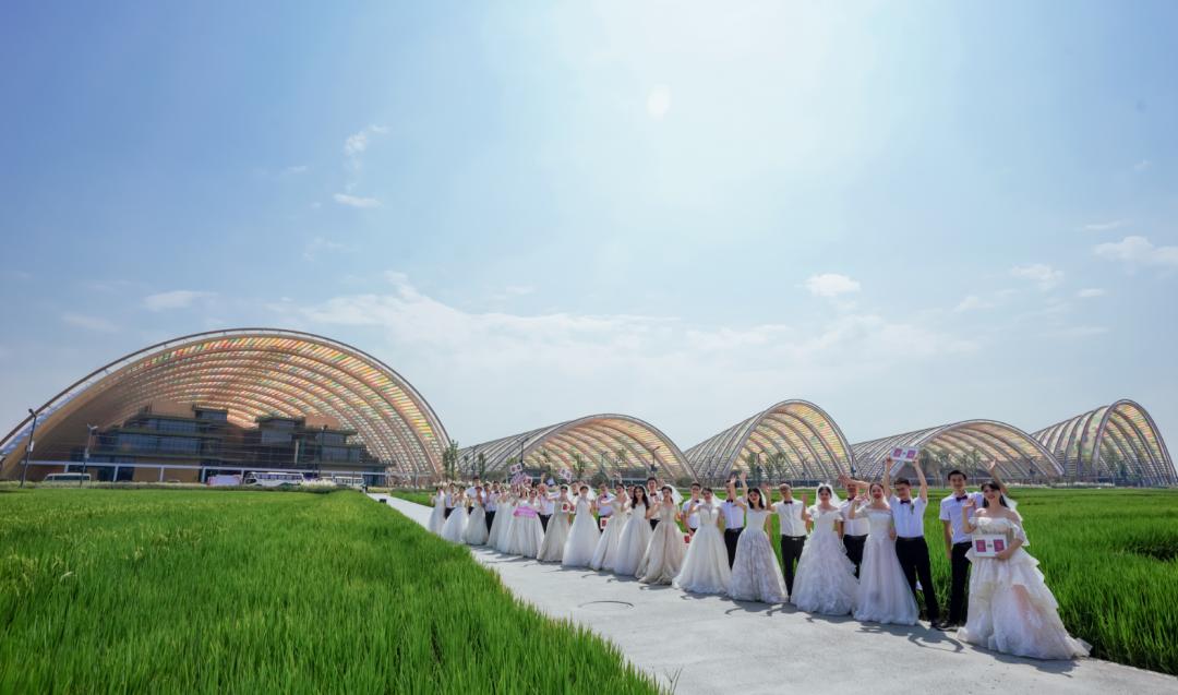 成都高新区桂溪生态公园婚姻登记,成都婚姻登记可以跨区吗