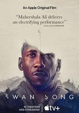 豆瓣2022冷门佳片,2022年度冷门佳片