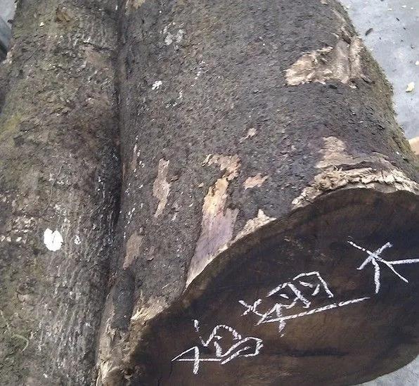 鸡翅木入选红木理由,鸡翅木最廉价的红木