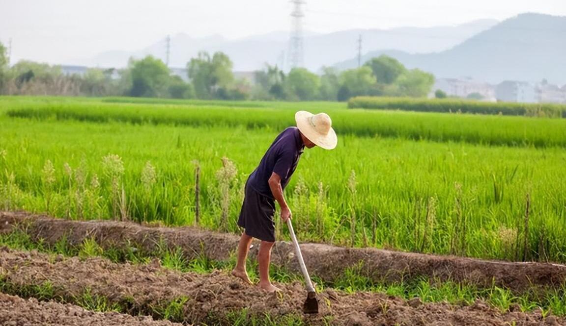 我和老伴都有着一个宝贝女儿琳琳,我该怎么办?
