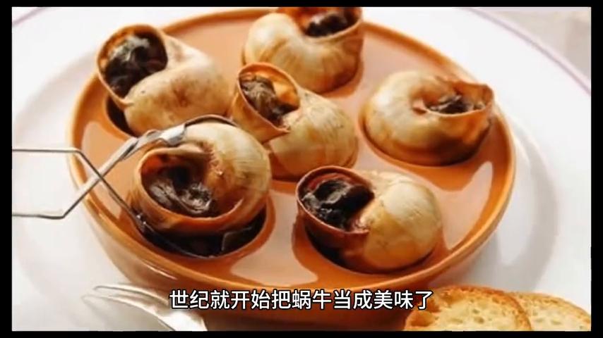 美食世界科普小知识内容,美食科普最好吃的食物