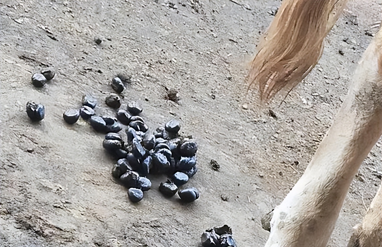 25羟基维生素d3对猪的作用,25-羟基维生素d3高了有影响吗