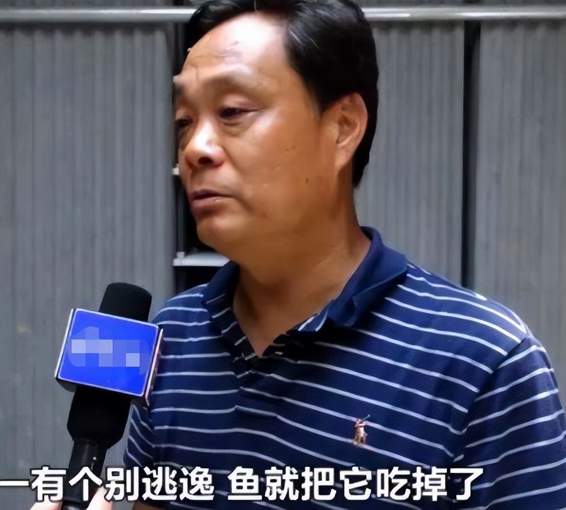 公务员辞职养蟑螂现在成亿万富翁,公务员辞职养蟑螂